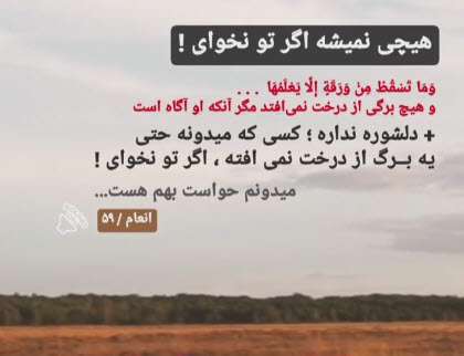 استوری زیبای خواست خدا