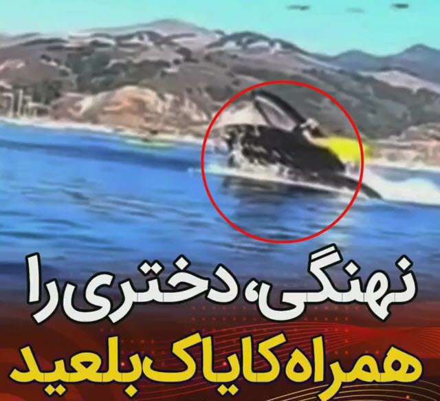 نهنگی، دختری را همراه کایاک بلعید