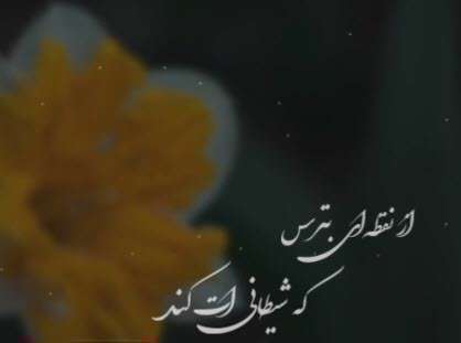 اینستا پست با صدای پرواز همای