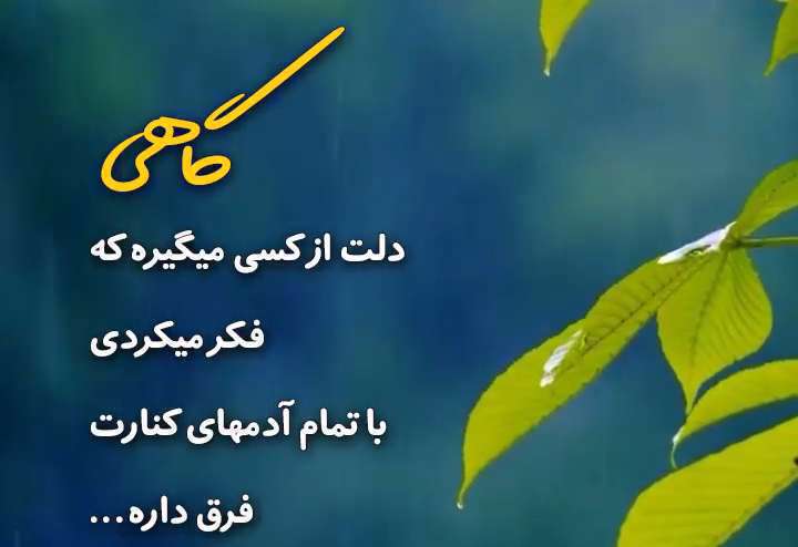 استوری عاشقانه بارانی؛ علیرضا قربانی