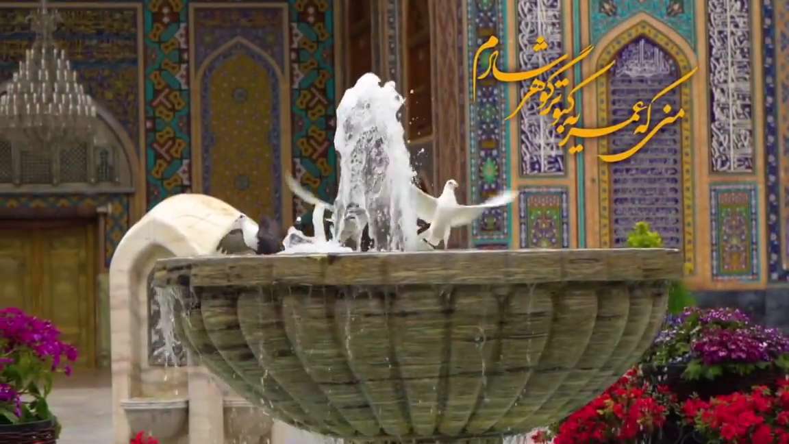 کلیپ امام رضایی ویژه شب لیله رغائب