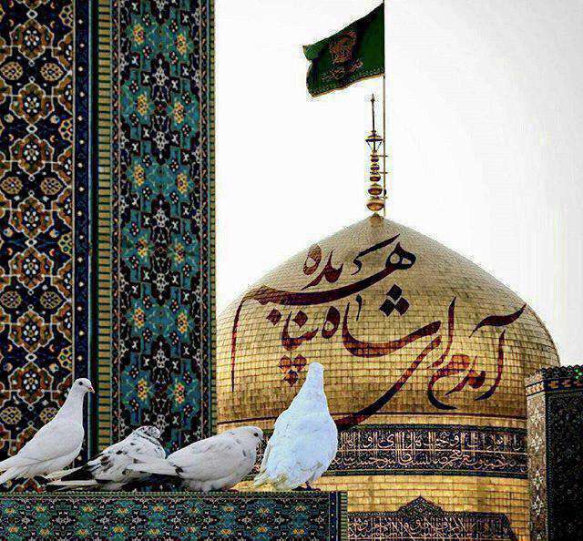 استوری یا امام رضا سلام؛ محمد حسین پویانفر