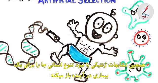 انسان ظرف هزار سال آینده به شکلی در می آید؟