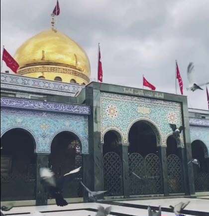 پست ویژه وفات حضرت زینب (س)؛ پویانفر