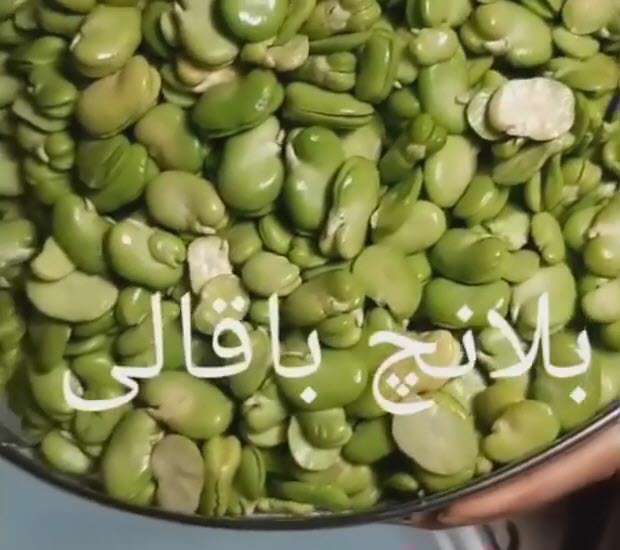 آموزش بلانچ باقالی