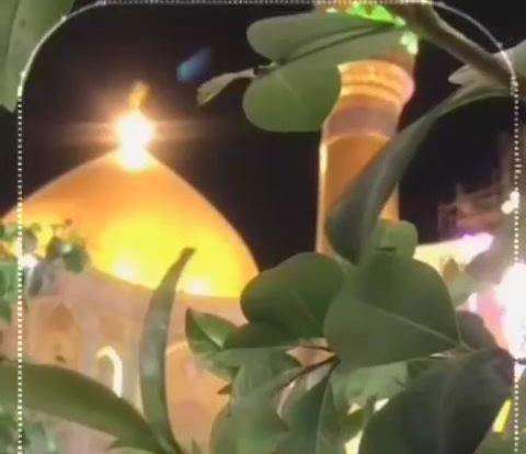 وضعیت واتساپ می دونی چقدر دوستت دارم حسین (ع)