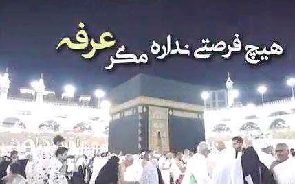 عرفه آخرین فرصت