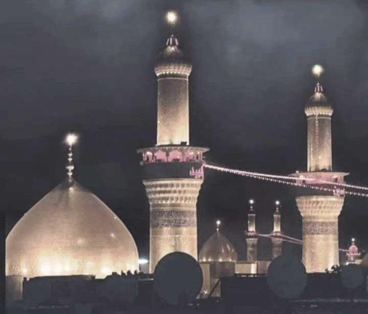 توسل به امام حسین (ع) برای شفای بیماران؛ سید رضا نریمانی