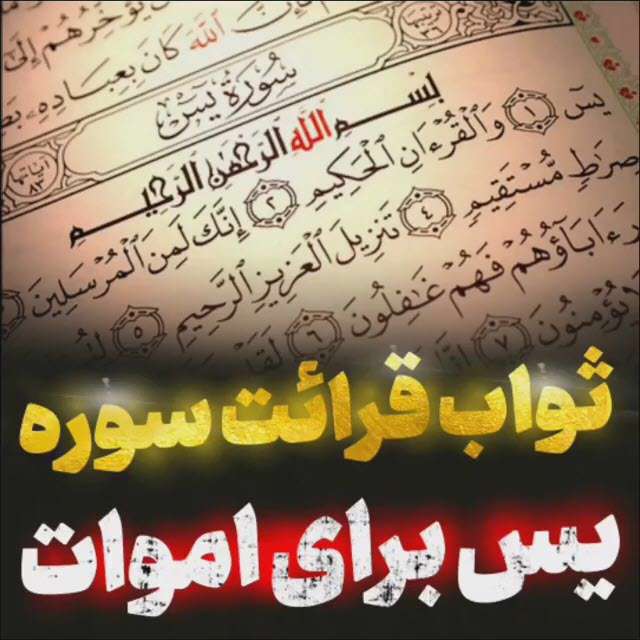 ثواب قرائت سوره یس برای اموات؛ استاد عالی