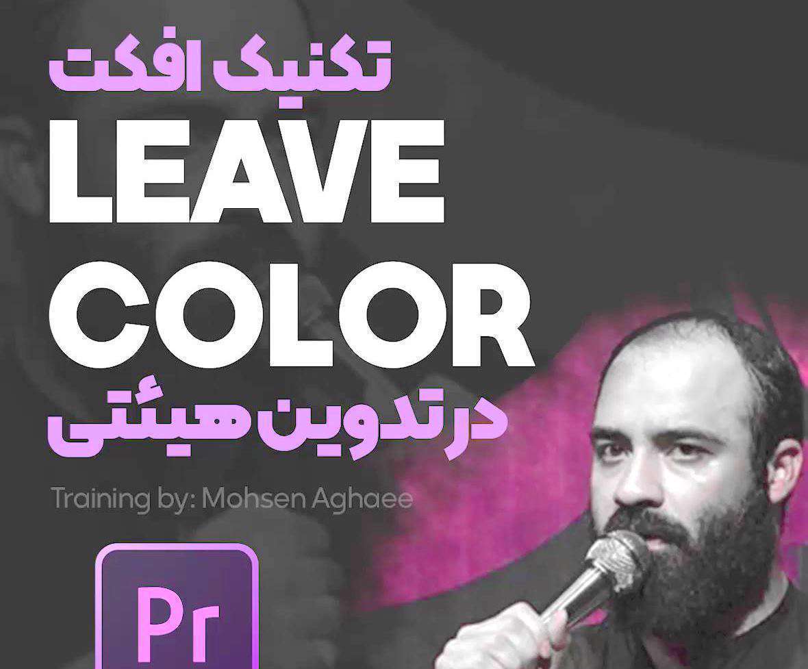 آموزش افکت Leave Color در برنامه پریمیر