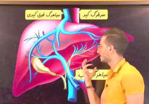 همه سوالات تستی درباره سیاهرگ باب کبدی از کتاب زیست دهم