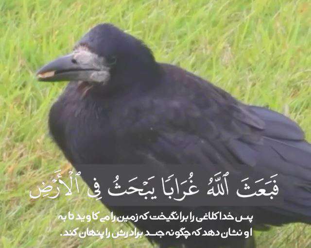 تلاوت استاد سعید فرازی از سوره مائده