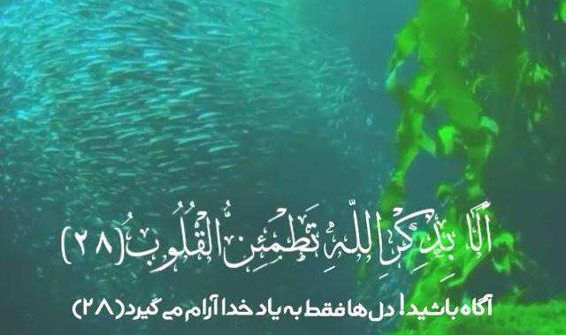 الا بذکر الله تطمئن القلوب؛ تلاوت استاد طوخی