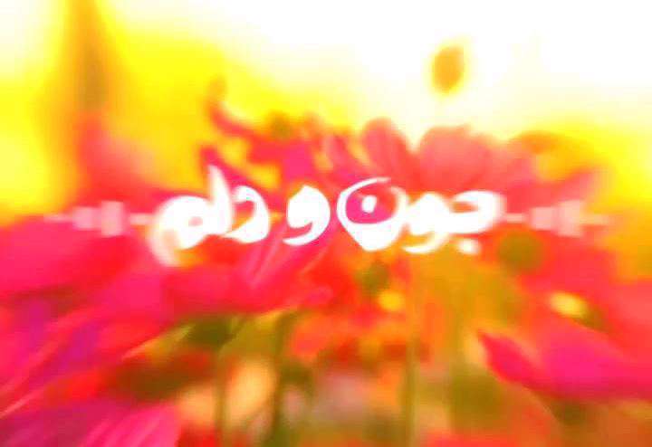 کلیپ استوری کوتاه 15 ثانیه ای «یا رسول الله» بنی فاطمه