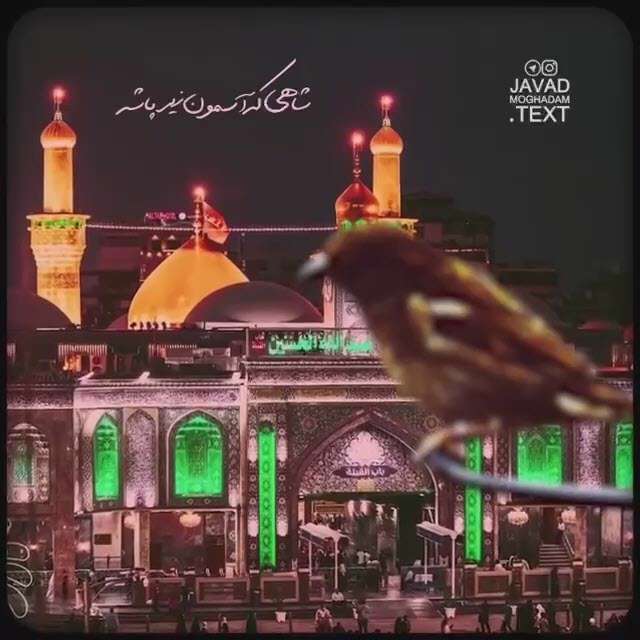 شاهی که آسمون زیر پاشه؛ جواد مقدم