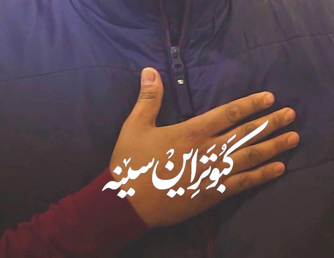 کبوتر این سینه؛ کلیپ زیبا برای چهارشنبه های امام رضایی