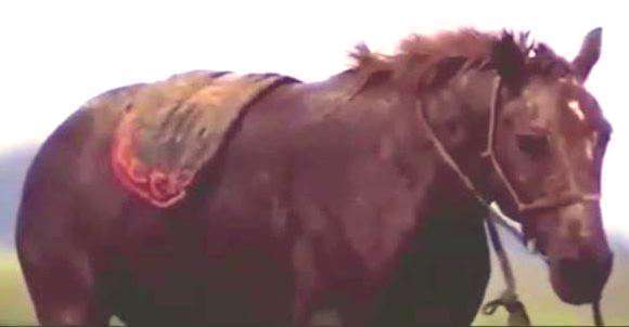 نقش اطرافیان در موفقیت با یک داستان