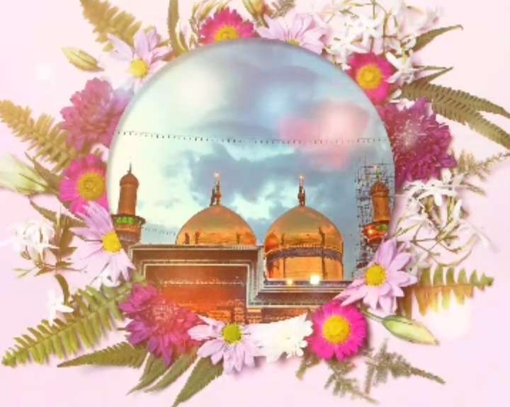 استوری مولا مولا این الرضا؛ میثم مطیعی