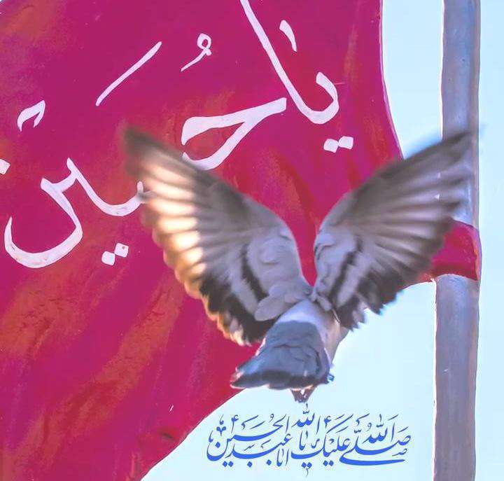 استوری کلیپ «سلام از قلب خسته»