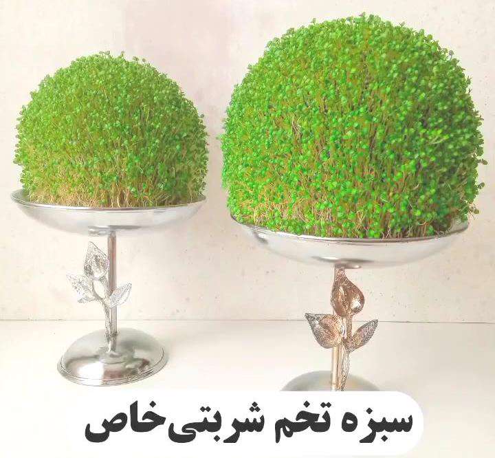 سبزه تخم شربتی