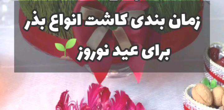 زمانبندی کاشت بذر سبزه عید