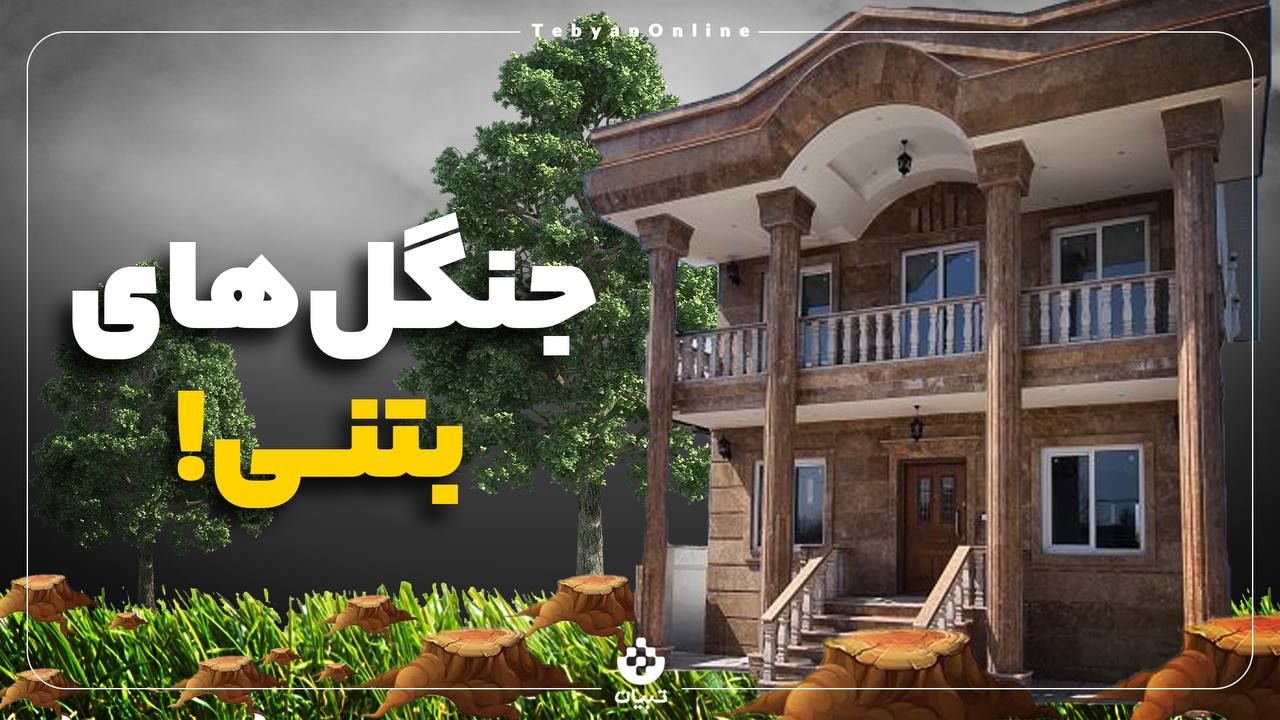 جنگل‌های بتنی!