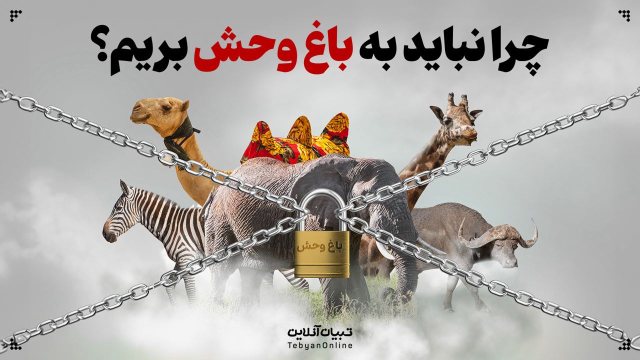 چرا نباید به باغ وحش بریم؟