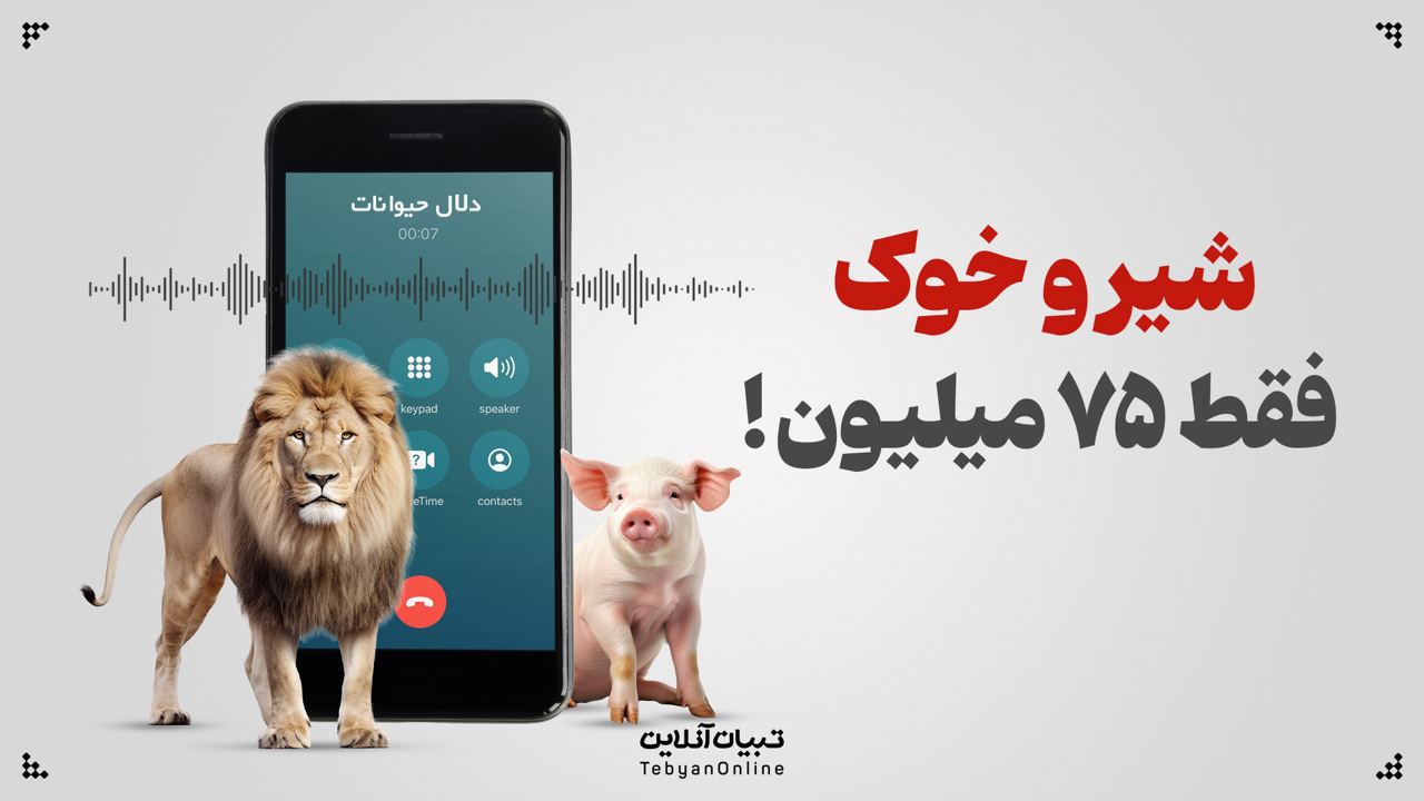 شیر و خوک، فقط ۷۵ میلیون!