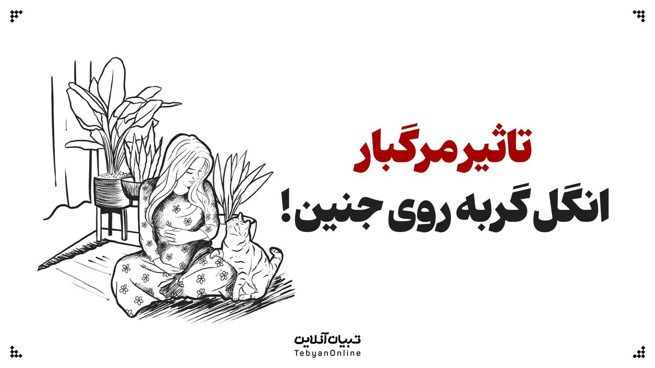 تاثیر مرگبار انگل گربه روی جنین!