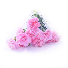 رباعی عارفانه ملاصدرا از زبان استاد مطهری
