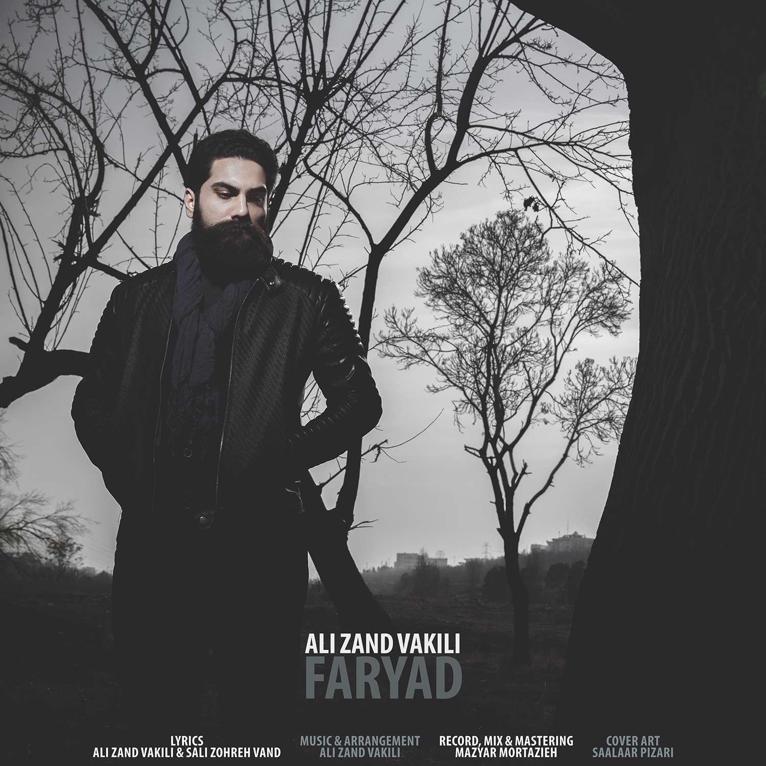 آهنگ فریاد علی زند وکیلی