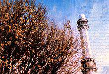 خبر هنری( 13 آبان)
