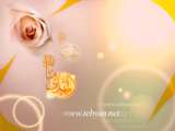 تصاویر ویژه (میلاد امام مهدی ( عج ))