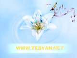 تصاویر ویژه (ویژه نامه میلاد امام صادق(ع))