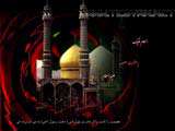 تصاویر ویژه (ویژه وفات حضرت معصومه سلام الله علیه)