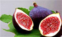 سوره مباركه تین