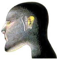 هرگز از آلزایمر نترسید