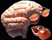 تاثیر تغذیه بر ضریب هوشی (IQ) تاثیر تغذیه بر ضریب هوشی (IQ)