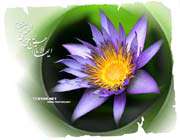 نگاهی به زندگی امام حسن علیه السلام