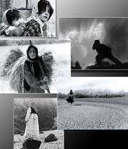 سینما برای بیان حقایق نهفته در دفاع مقدس بیش‌تر تلاش كند 