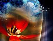 سفری کوتاه اما آموزنده