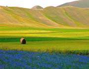 دروگران پگاه