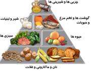 هرم غذایی در دوران بارداری