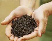 خاک خواری؛ عارضه ای خطرناک