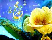 تاريخ را ورق مي‌زنم