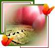 ویژه نامه ولادت امام صادق علیه السلام (سال 83)	