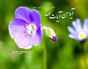 التماس دعای امام حسین به زینب کبری علیهماالسلام