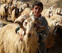 جاذبه های طبیعی چهارمحال بختیاری(2)