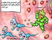 رابطه دو طرفه تغذیه و زیبایی