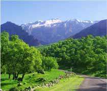 کوه های استان کهگیلویه وبویراحمد
